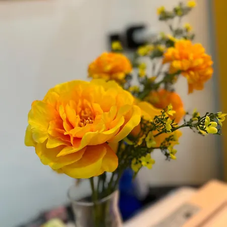 1 In Old アパート *