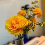1 In Old شقة *