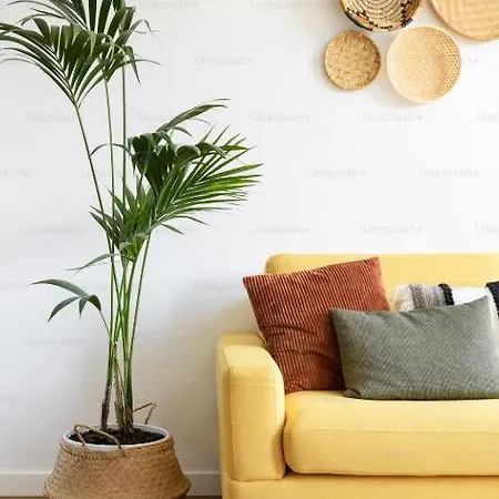 1 In Old Apartment *
